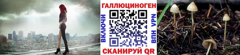 Купить  Яхрома  Псилоцибиновые грибы мицелий 